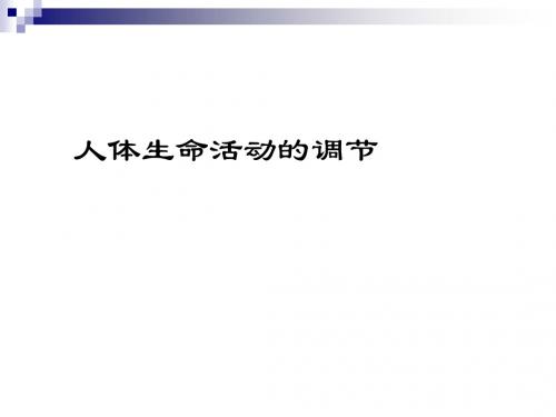 苏教版必修三 人体生命活动的调节 课件(14张)