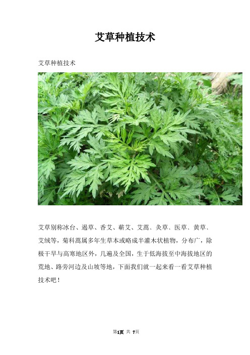 艾草种植技术