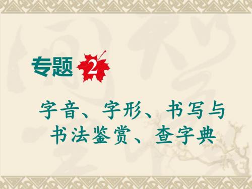 专题2 字音、字形、书写与书法鉴赏、查字典