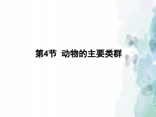 北师大版-生物-八年级下册-7.22.4动物的主要类群 课件