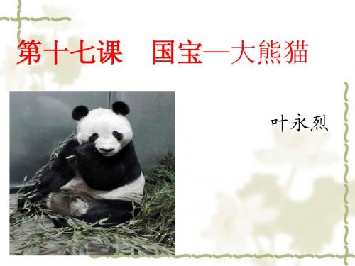 国宝大熊猫上课课件
