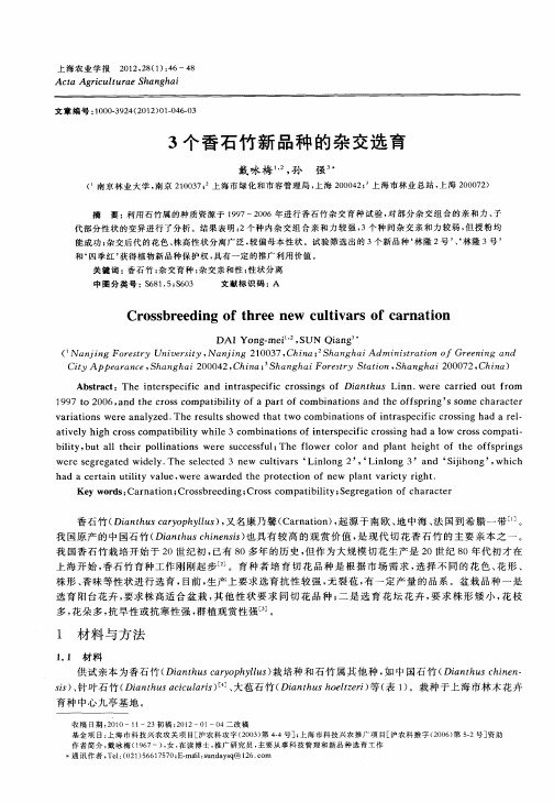 3个香石竹新品种的杂交选育