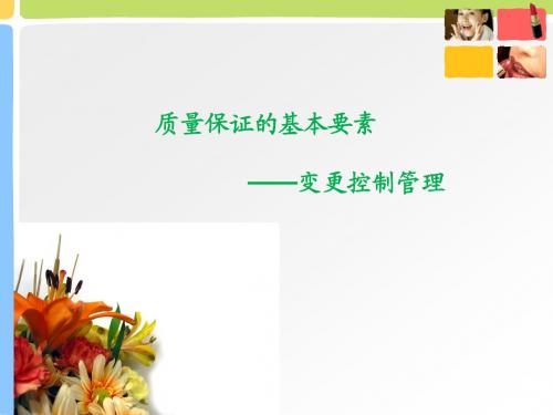 变更控制