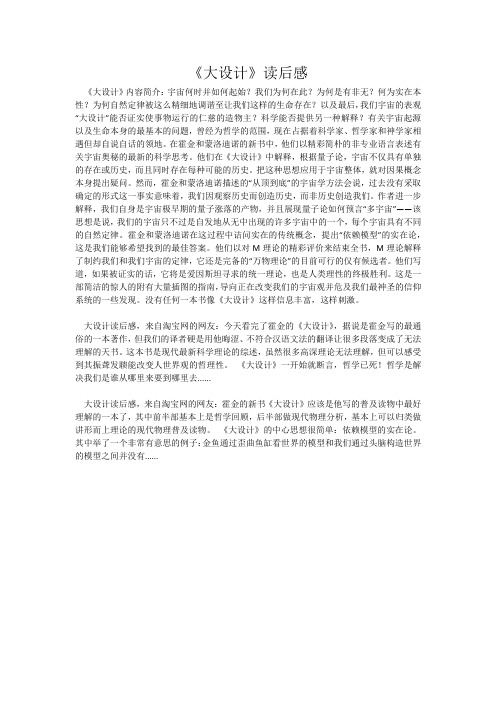 《大设计》读后感