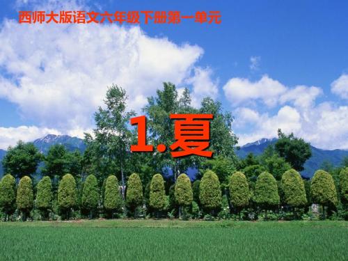 西师大版小学六年级语文下册第1课《夏》PPT课件