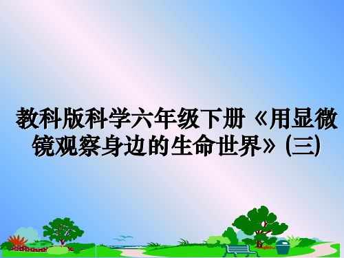 最新教科版科学六年级下册《用显微镜观察身边的生命世界》(三)PPT课件