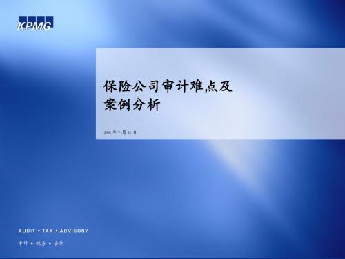 保险公司内部控制概要