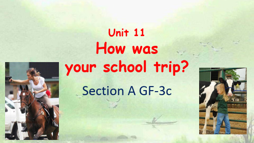 人教版七年级英语下册 Unit 11   SectionA GF-3c(PPT21张)