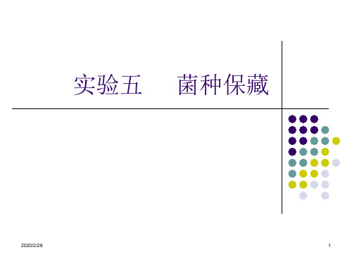 实验五     菌种保藏(1)