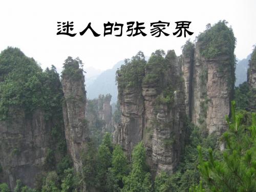 六年级语文上册16《迷人的张家界》课件2北京版