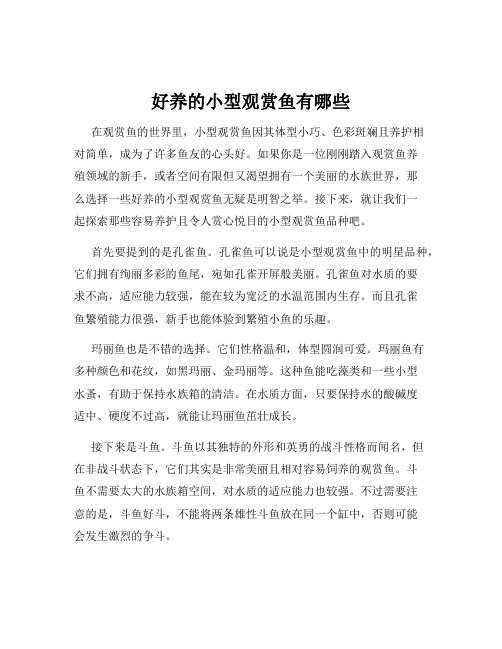 好养的小型观赏鱼有哪些