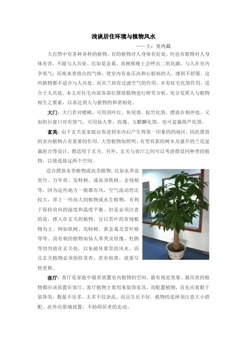 浅谈居住环境与植物风水上室内篇