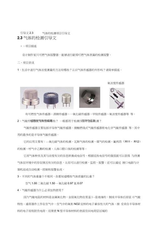 [复习]气体的检测.doc
