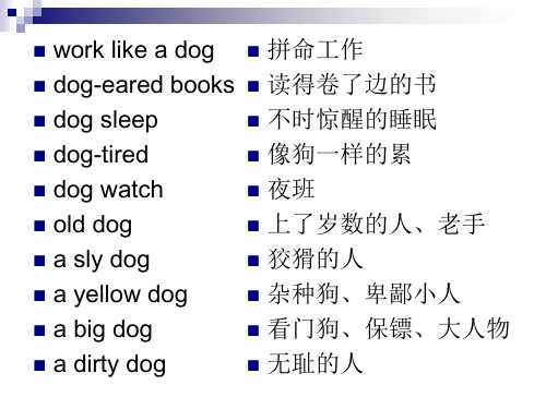 与狗有关的英语俚语