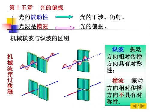 大学物理下  第十五章光的偏振 1