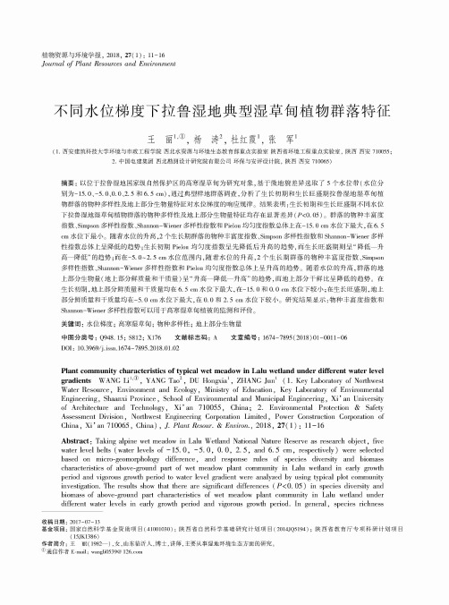 不同水位梯度下拉鲁湿地典型湿草甸植物群落特征