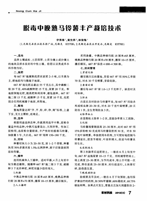 脱毒中晚熟马铃薯丰产栽培技术