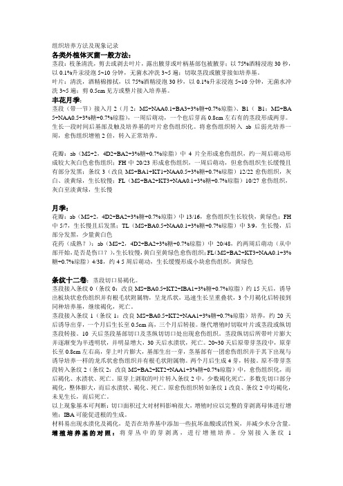 组培_各种材料组培方法及现象记录