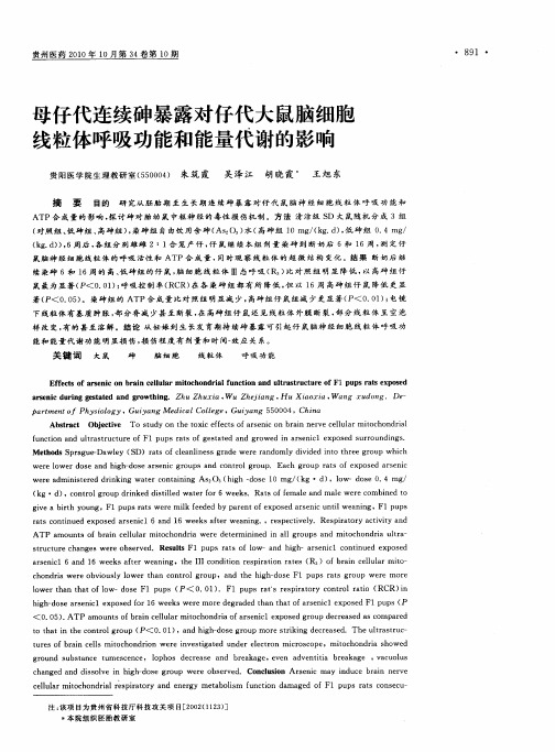 母仔代连续砷暴露对仔代大鼠脑细胞线粒体呼吸功能和能量代谢的影响