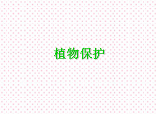 地下害虫识别