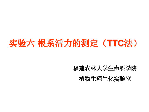 实验六根系活力