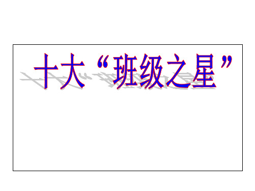 班级十大之星评选-PPT精选文档