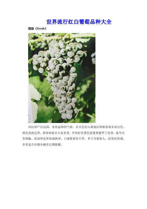 世界流行红白葡萄品种大全