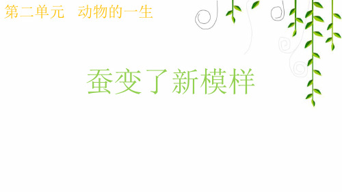 教科版科学三年级下册2蚕变了新模样课件