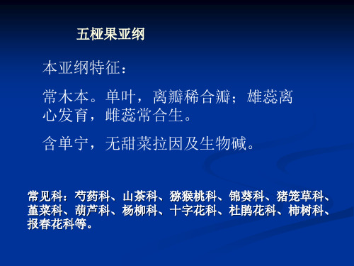 8 被子植物d