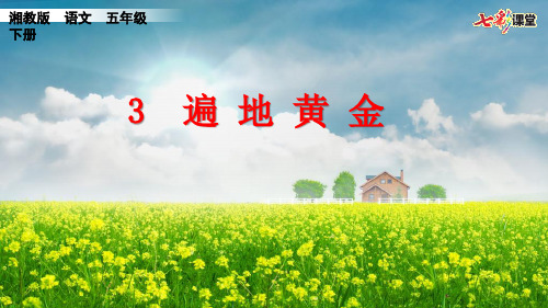 湘教版语文五年级下3遍地黄金