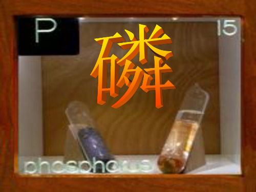 第五组 磷元素