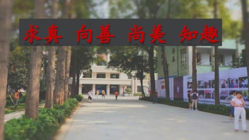 鲁教版七年级《道德与法治》下册14.2《追求高雅情趣》课件 (共20张PPT)