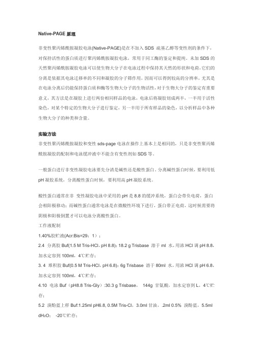 非变性凝胶电泳技术