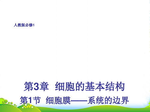 高一生物必修一教学课件：3.1 细胞膜——系统的边界 (共33张PPT)