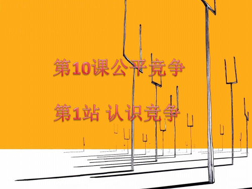 北师大版七年级下册10.1公平竞争 认识竞争