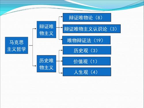 意识的本质PPT课件