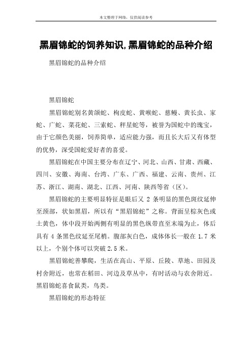 黑眉锦蛇的饲养知识,黑眉锦蛇的品种介绍