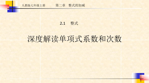 单项式的系数和次数解读