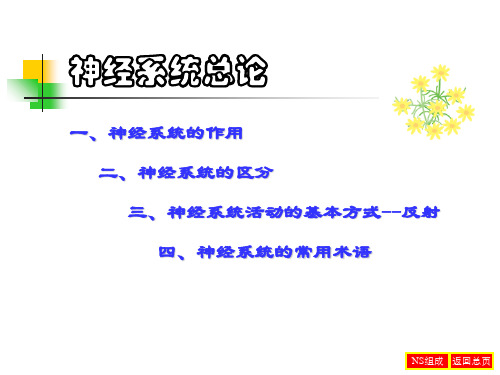 神经总论王