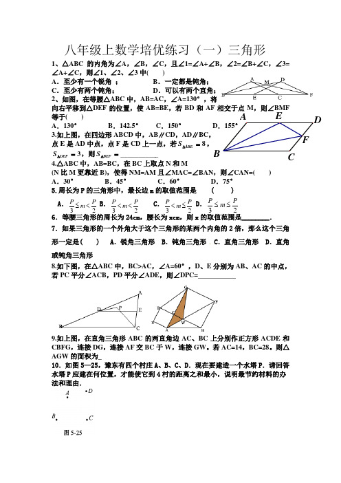 八年级上数学培优练习