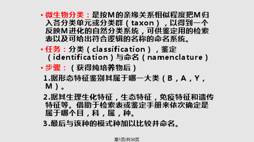 微生物的分类PPT课件