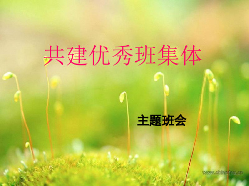 主题班会共创优秀班集体PPT课件