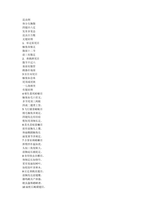 昆虫纲