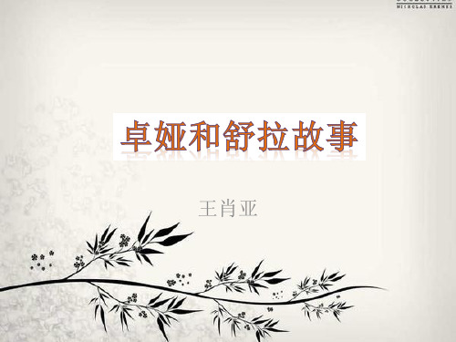卓娅和舒拉的故事