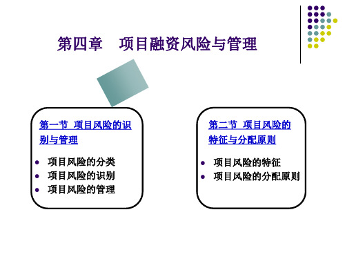 项目融资风险与管理概述课件
