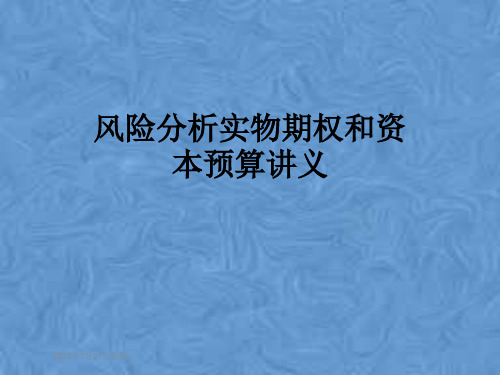 风险分析实物期权和资本预算讲义