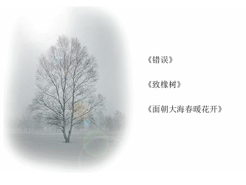 现代诗歌三首PPT优选课件