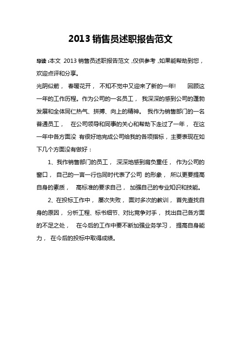 2013销售员述职报告范文
