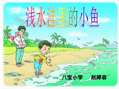 二年级语文上《识字728 浅水洼里的小鱼》55PPT课件 一等奖名师公开课比赛优质课评比试讲