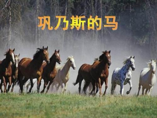 北师大版五年级语文上册《巩乃斯的马》公开课ppt课件